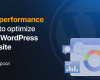 How WordPress site performance test can help to optimize your website?