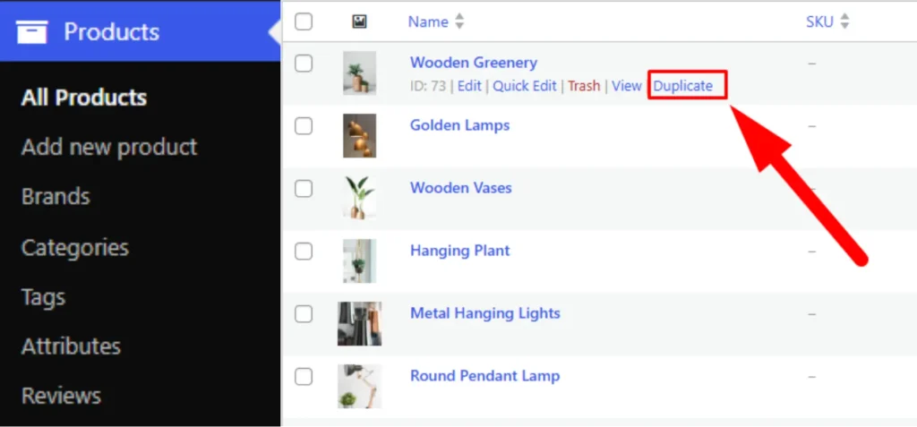 Method 1 Built In Duplicate Feature (No Plugin Needed)