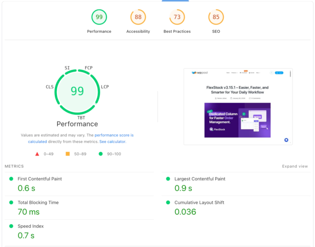 Google Page Speed insight showing Faster page speed